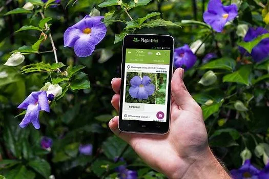 PlantNet identifier plante photo