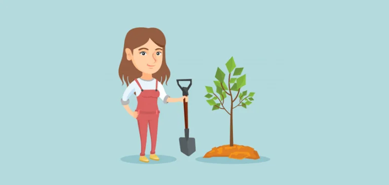 identifier photo plante