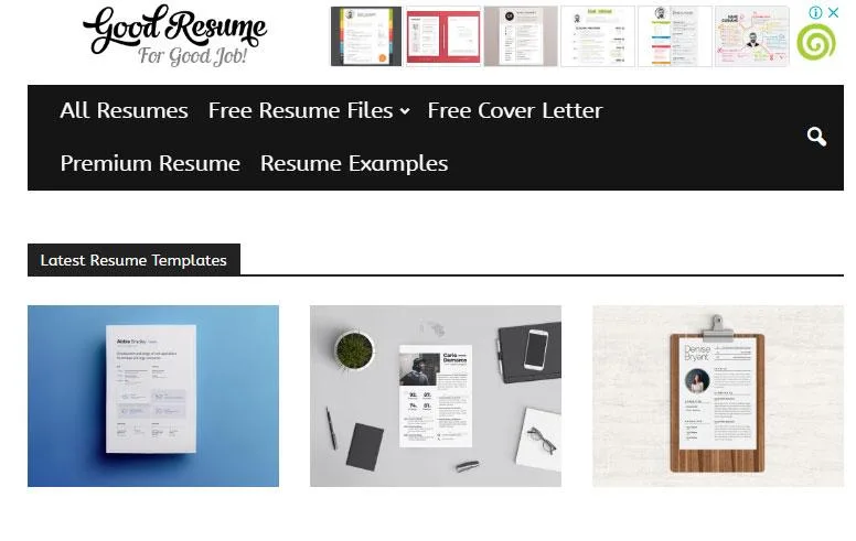Good resume 1