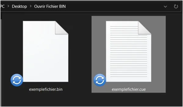 Fichier bin ourvrir