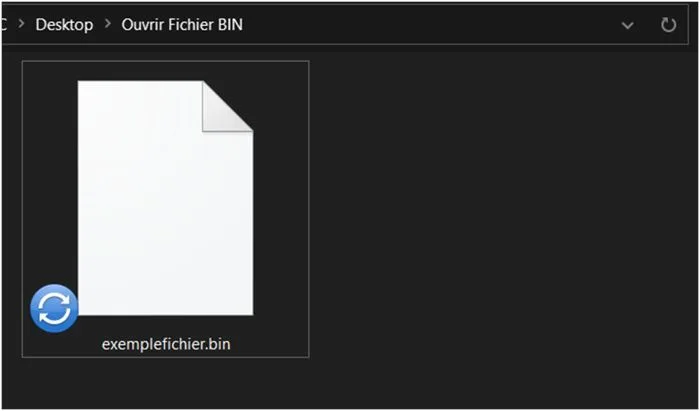 Fichier bin