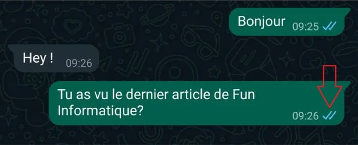 Deux coches bleus whatsapp