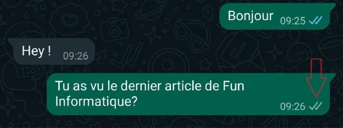 Deux coches gris whatsapp