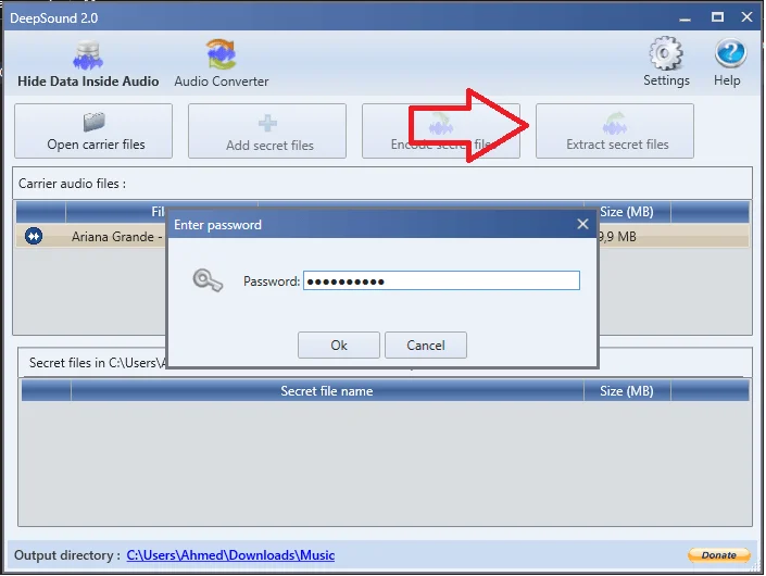 Decoder document deepsound