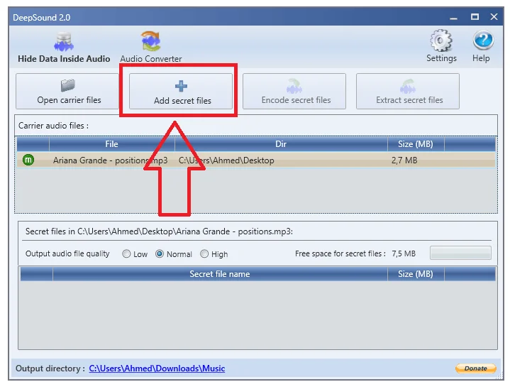 Fichier secret deepsound 1