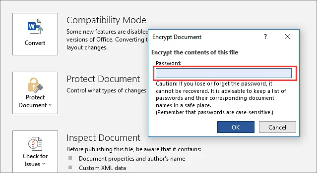 Word mot de passe cle usb