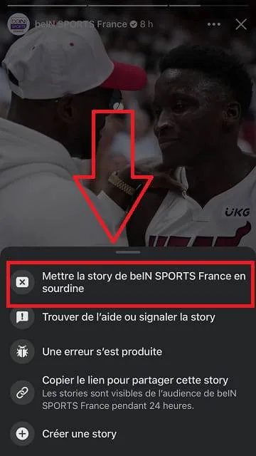 Mettre en sourdine story facebook