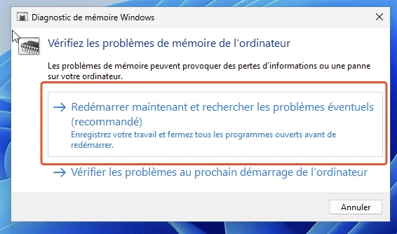 Diagnostic memoire windows11