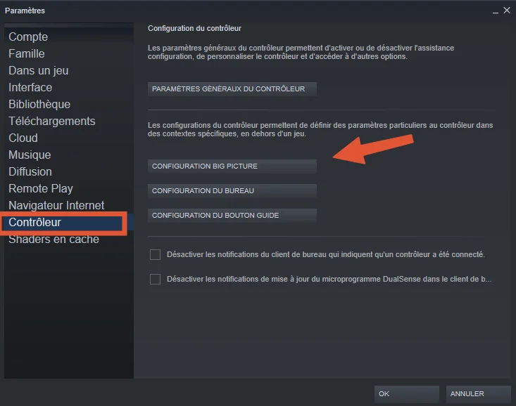 Mode bog picture steam