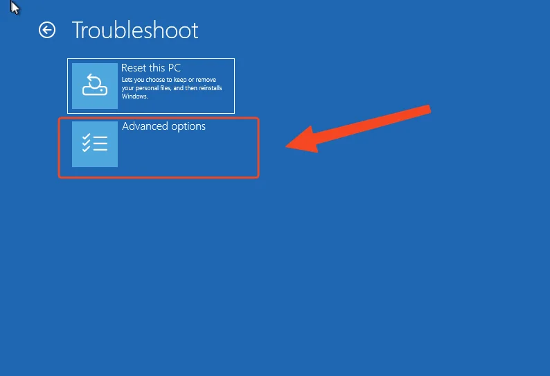 Options avances windows 11