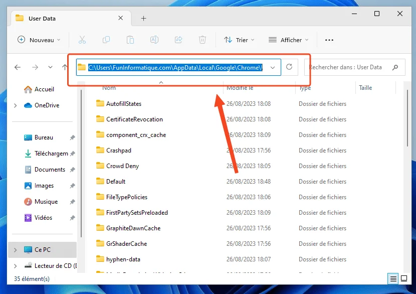 App data chrome profil
