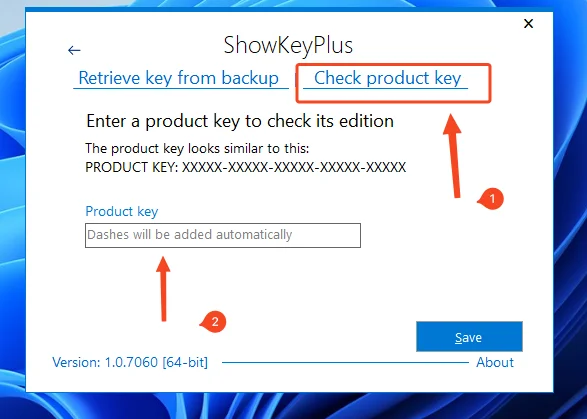 Verifier edition windows 11