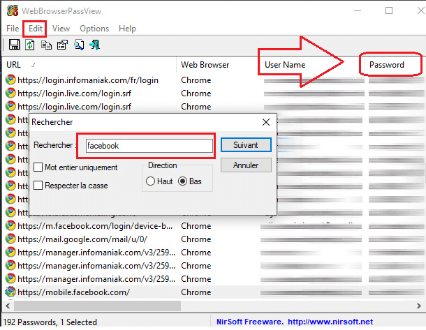 Interface du logiciel WebBrowserPassView