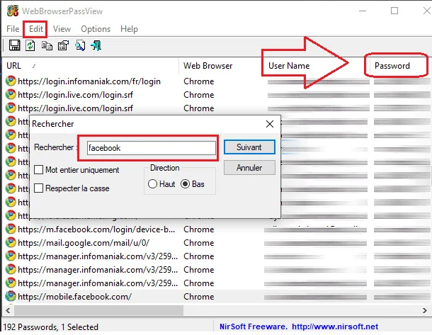 Interface du logiciel WebBrowserPassView