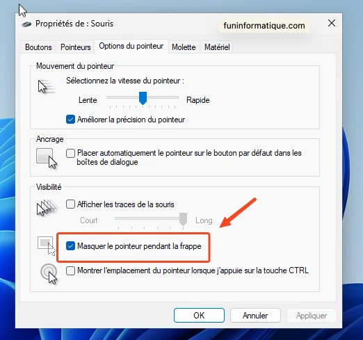 Souris pointeur windows