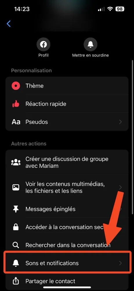 Capture écran montrant menu son et notification sur facebook messenger