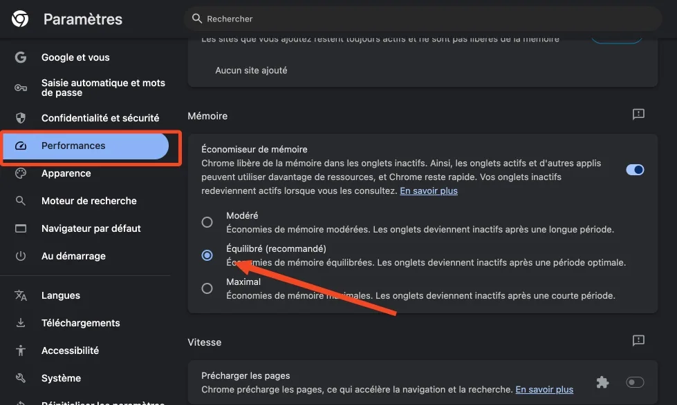 Optimiser memoire chrome