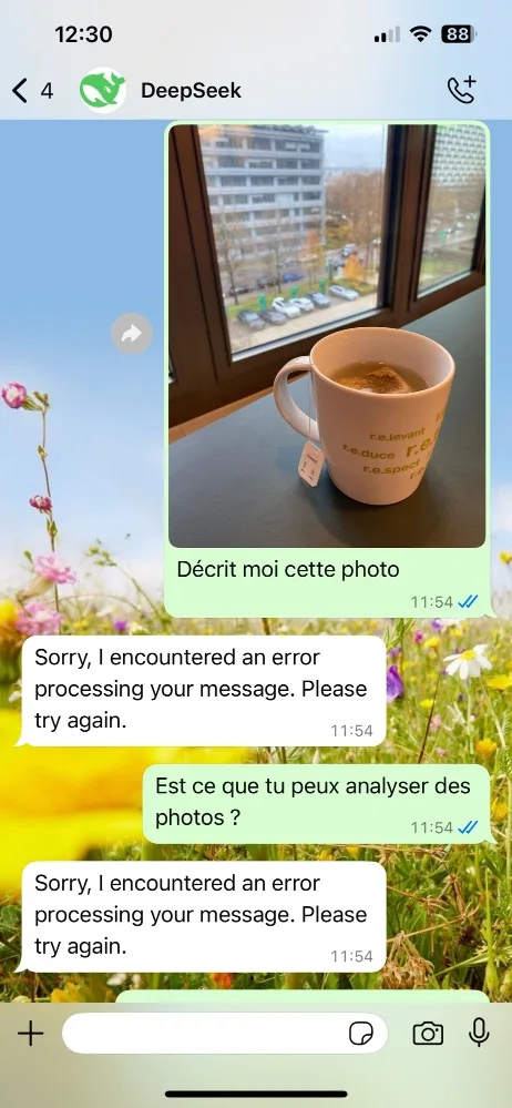 Deepseek whatsapp analyser photo