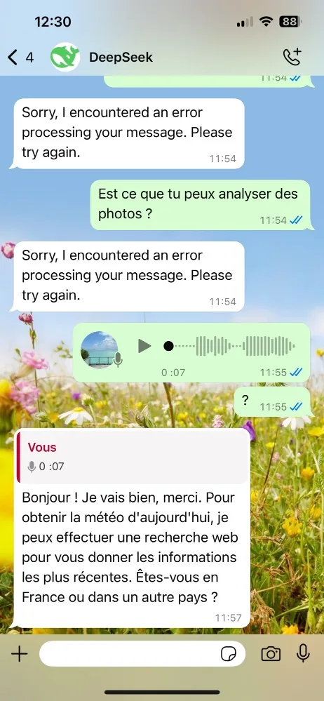 Deepseek whatsapp audio